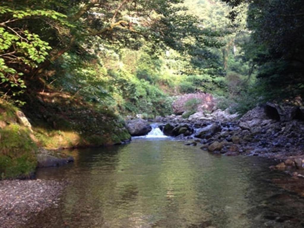 Auberge Tosayama Kōchi Exteriör bild