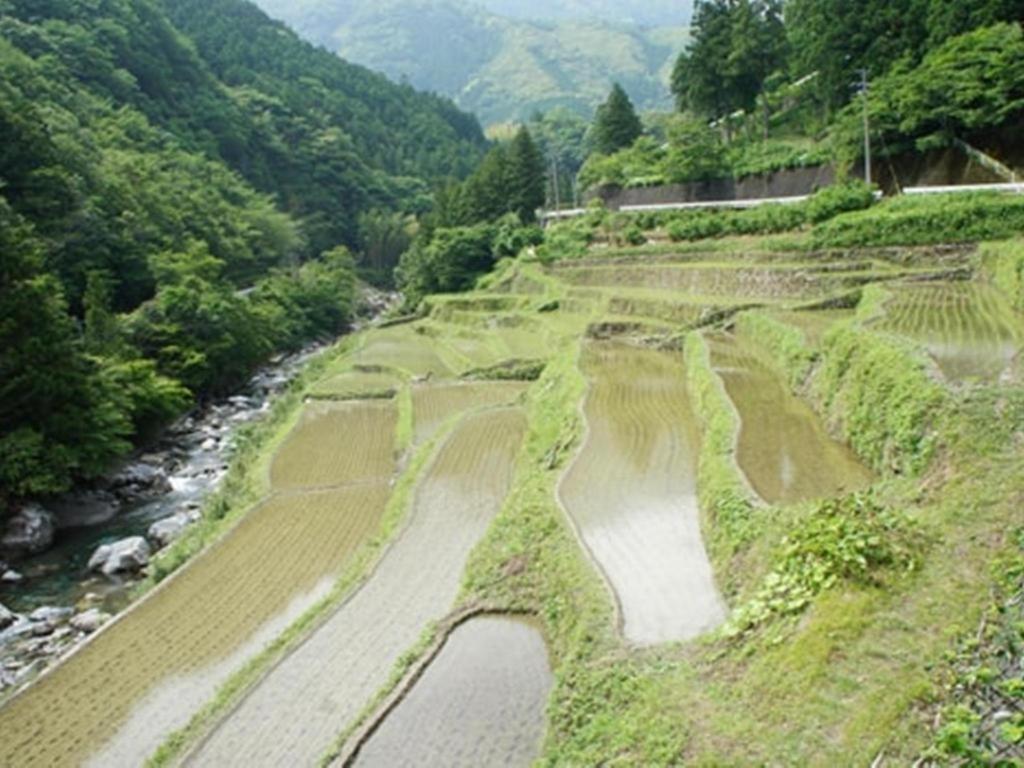Auberge Tosayama Kōchi Exteriör bild
